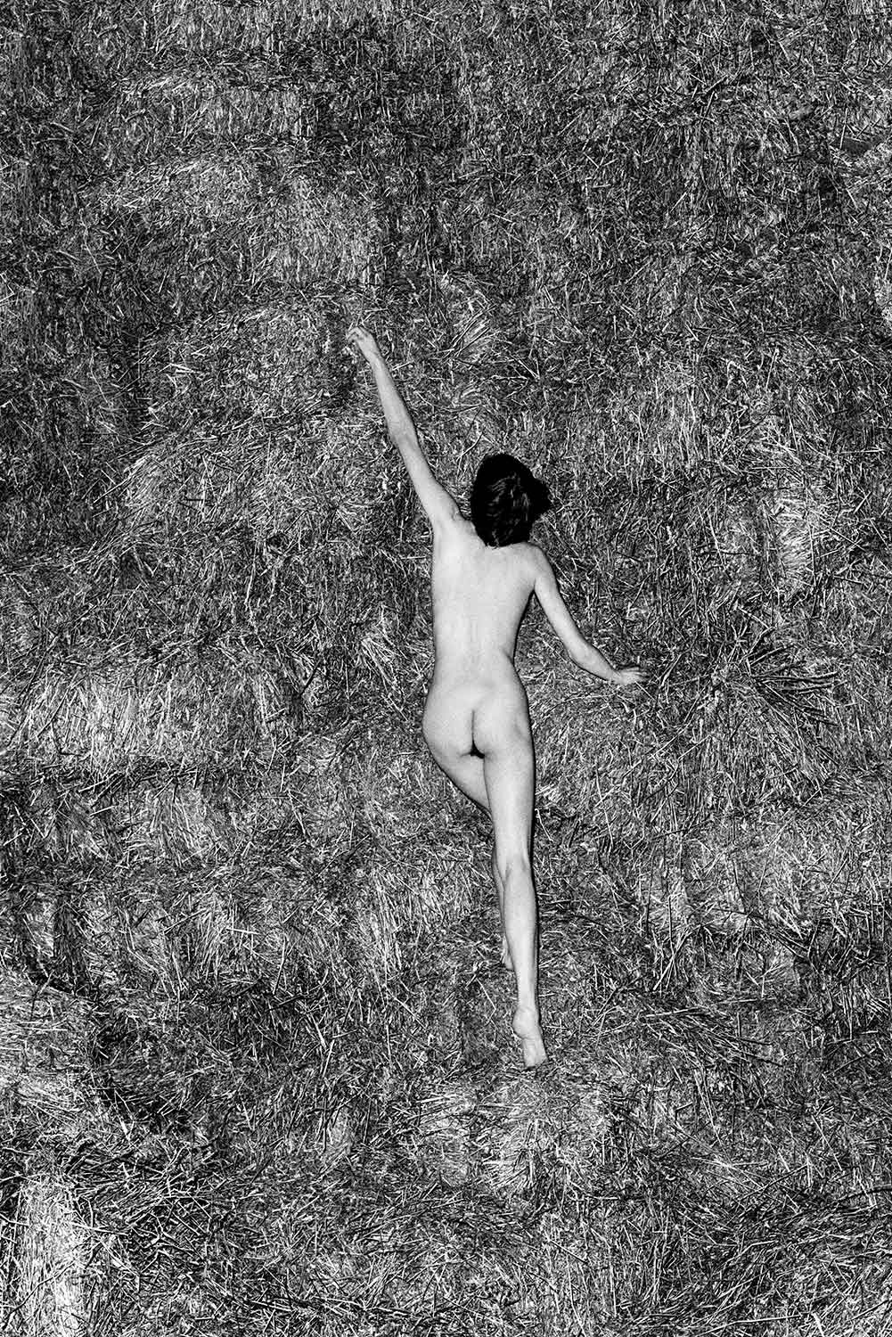 Bottes-de-paille-1500